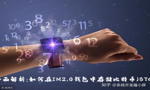 全面解析：如何在IM2.0钱包中存储比特币（BTC）