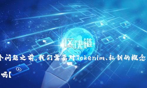 在讨论“Tokenim是否必须导出私钥”这个问题之前，我们需要对Tokenim、私钥的概念以及它们之间的关系有一个清晰的认识。

### Tokenim与私钥：你需要导出私钥吗？