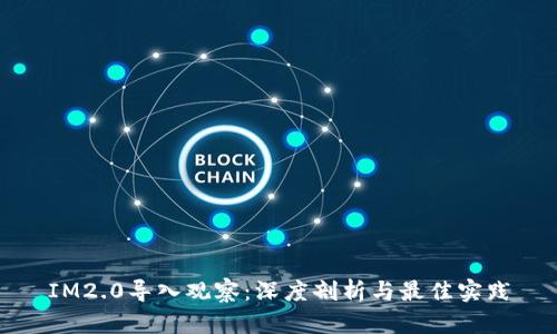IM2.0导入观察：深度剖析与最佳实践