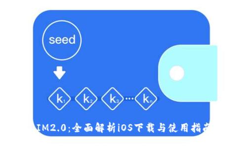 IM2.0：全面解析iOS下载与使用指南