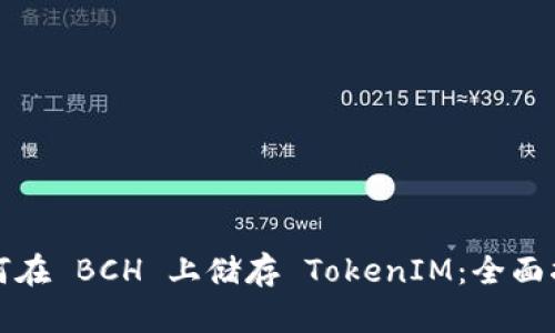 如何在 BCH 上储存 TokenIM：全面指南