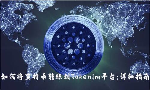 如何将莱特币转账到Tokenim平台：详细指南