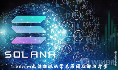 
Tokenim无法提现的常见原因及解决方案
