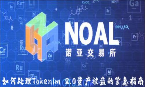 
如何处理Tokenim 2.0资产被盗的紧急指南