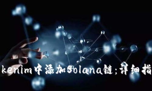如何在Tokenim中添加Solana链：详细指南与步骤