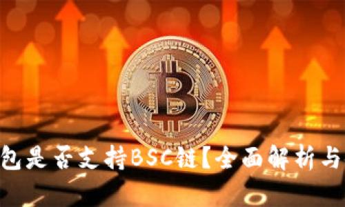 IM2.0钱包是否支持BSC链？全面解析与使用指南