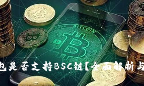 IM2.0钱包是否支持BSC链？全面解析与使用指南