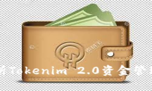 深入解析Tokenim 2.0资金管理与应用