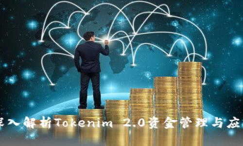 深入解析Tokenim 2.0资金管理与应用