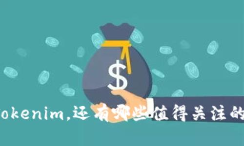 除了Tokenim，还有哪些值得关注的钱包？