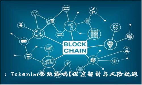 : Tokenim会跑路吗？深度解析与风险规避