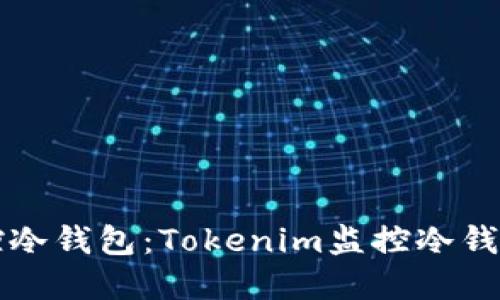 如何高效监控冷钱包：Tokenim监控冷钱包的最佳实践