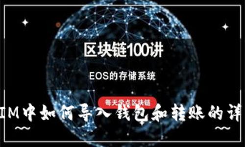 TokenIM中如何导入钱包和转账的详细指南