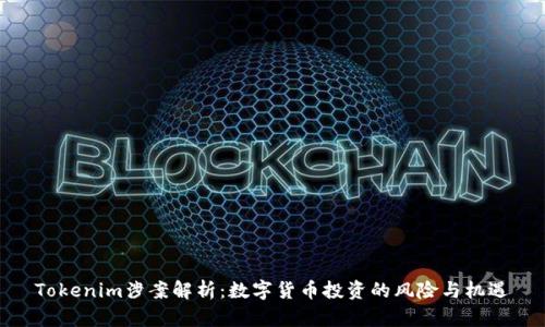 Tokenim涉案解析：数字货币投资的风险与机遇