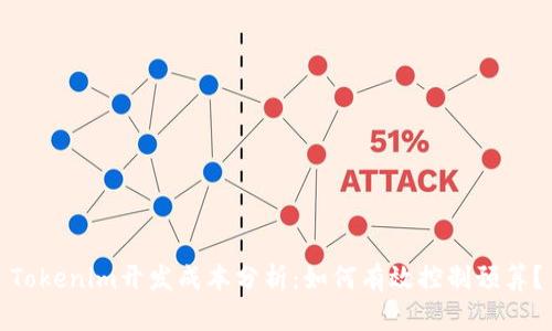 Tokenim开发成本分析：如何有效控制预算？